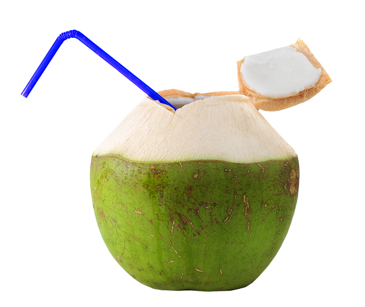 Coconut